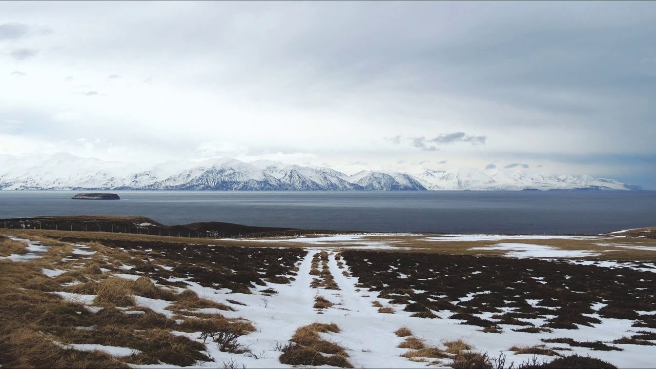 So Much Work | Winter Chill Mix