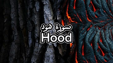 سورة هود | ياسر الدوسري تلاوة خاشعة القرآن الكريم Quran #مصحف #تلاوة #قناة_اليوتيوب #Mus7aff