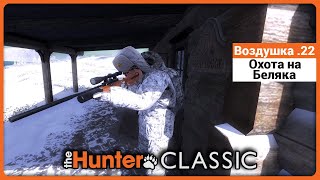 :  .22  -     theHunter Classic !