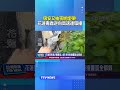 吸安又抽喪屍煙彈! 花蓮毒蟲逆向高速連環撞 #毒駕 #花蓮