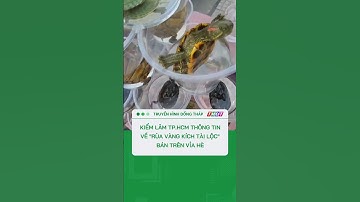 Kiểm lâm TP.HCM thông tin về "Rùa vàng kích tài lộc" bán trên vỉa hè #shorts