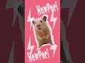 Ham Paci. (APT. Parody) #hampacino #apt #mikuhatsune #hamsters