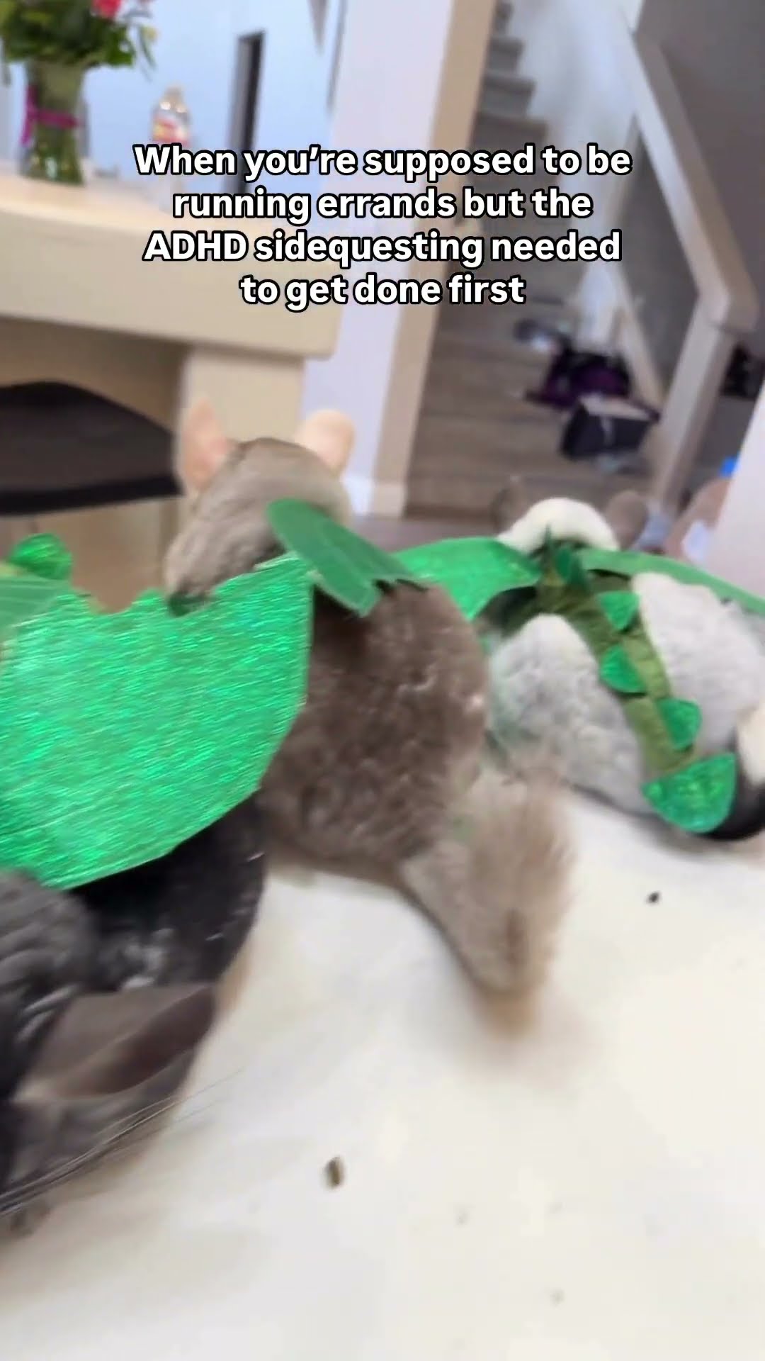 Asteroid the wizard