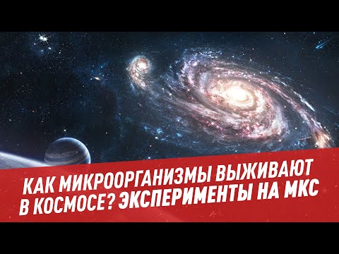 Video: NASA Poroča, Da Je ISS Zajel Seve Bakterij, Nevarnih Za Ljudi - - Alternativni Pogled