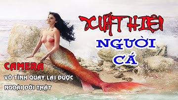 Những Người Cá Xuất Hiện Ngoài Đời Thật Vô Tình Được Camera Quay Lại | GARA Giải trí hấp dẫn