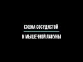 СХЕМА СОСУДИСТОЙ И МЫШЕЧНОЙ ЛАКУНЫ