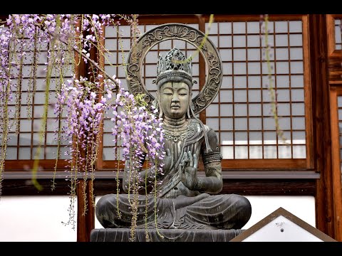 神社仏閣めぐりNo.0034 長泉寺 埼玉県本庄市