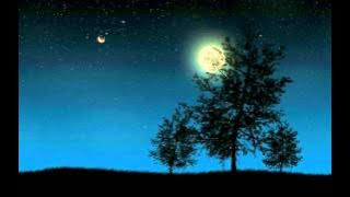 Yuriko Nakamura - Capriccio