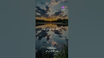 القارئ محمد أحمد حسن – صوت يبعث الطمأنينة ماتيسر من سورة الحجرات #القارئ_محمد_أحمد_حسن #تلاوة_مؤثرة