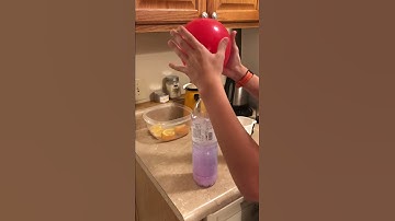 Apologia General Science Science Experiment 1.3 #shorts