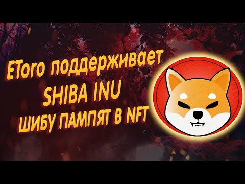 Video: Shiba Inu. Արտաքին և բնավորություն