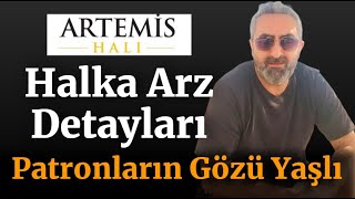 Artemis Halı Halka Arz Detaylı Bilgiler Fon Kullanım Yerleri Finansal Raporlar