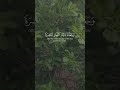 Listen This Morning ( Adkar Al - Subha) ❤️Quran tilawat #shortvideo