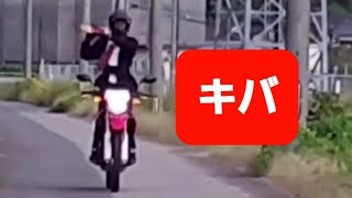 【バイク変身やってみた 79】仮面ライダー キバ