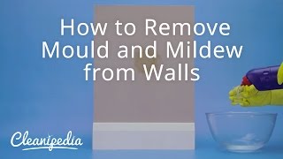 How to Remove Mould and Mildew from Walls
