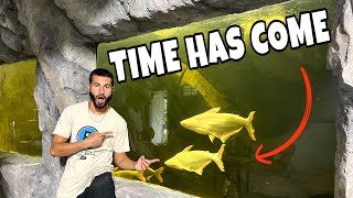 RELEASING ALBINO SHARKS In BIGGEST FISHTANK!