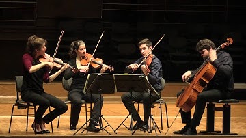 Haydn - String quartet in g-minor op.74/3  "Rider" , 3. Menuet - Aris Quartett live