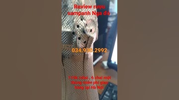 Rượu vang nổ Nga đỏ ,giá sampanh nga đỏ ,Mua vang nổ nga đỏ tại Hà Nội