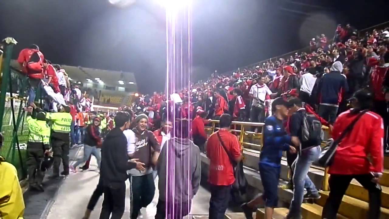 DISTURBIO ROJO BOGOTA DRB   VAMOS CAMPEON AY QUE SALTAR  PONGAN HUEVOS