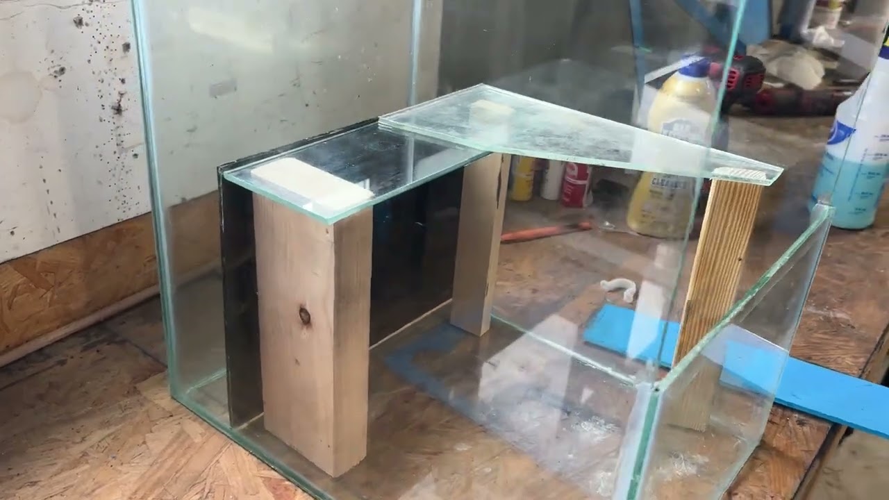 20 Gallon Paludarium Build- Assembly