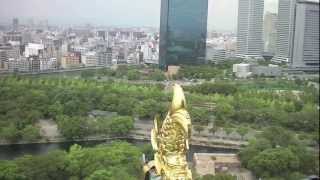 This is Japan! - Osaka, Nara and Koya-San