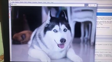 2147336 IoT : Assignment 4 Raspberry Pi AI ML Deep Learning