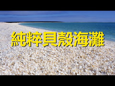 世界上最純粹的貝殼海灘，全長60公里，周邊的房屋都用貝殼建造，西澳大利亞貝殼海灘，Shell Beach，a beach in the Shark Bay region of Australia