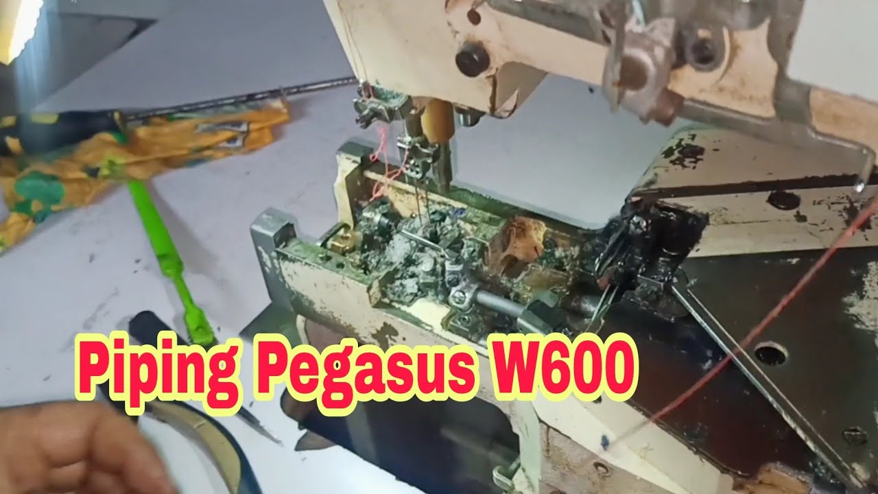 Piping Pegasus W600 Cylindrical
