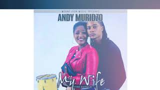 Andy Muridzo-Chido Single audio produced by Mount Zion