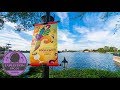 The History of Epcot International Food &amp; Wine Festival | Expedition Epcot
