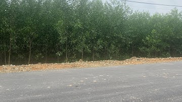 20m mặt tiền đường nhựa,đất có sẵn 100m2 thổ cư chỉ với giá 1,7 tỷ