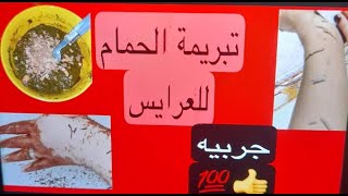 تبريمة الحمام بالحنه تنيجته روعه تغنيك عنك الحمام