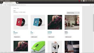 Celebrity How to set up Dynamic Pricing and Discounts in Woocommerce Wealth
