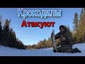 Неуспеваю заряжать ЖЕРЛИЦЫ!!! Попал на жор КРУПНОЙ щуки! Рыбалка на жерлицы в марте.