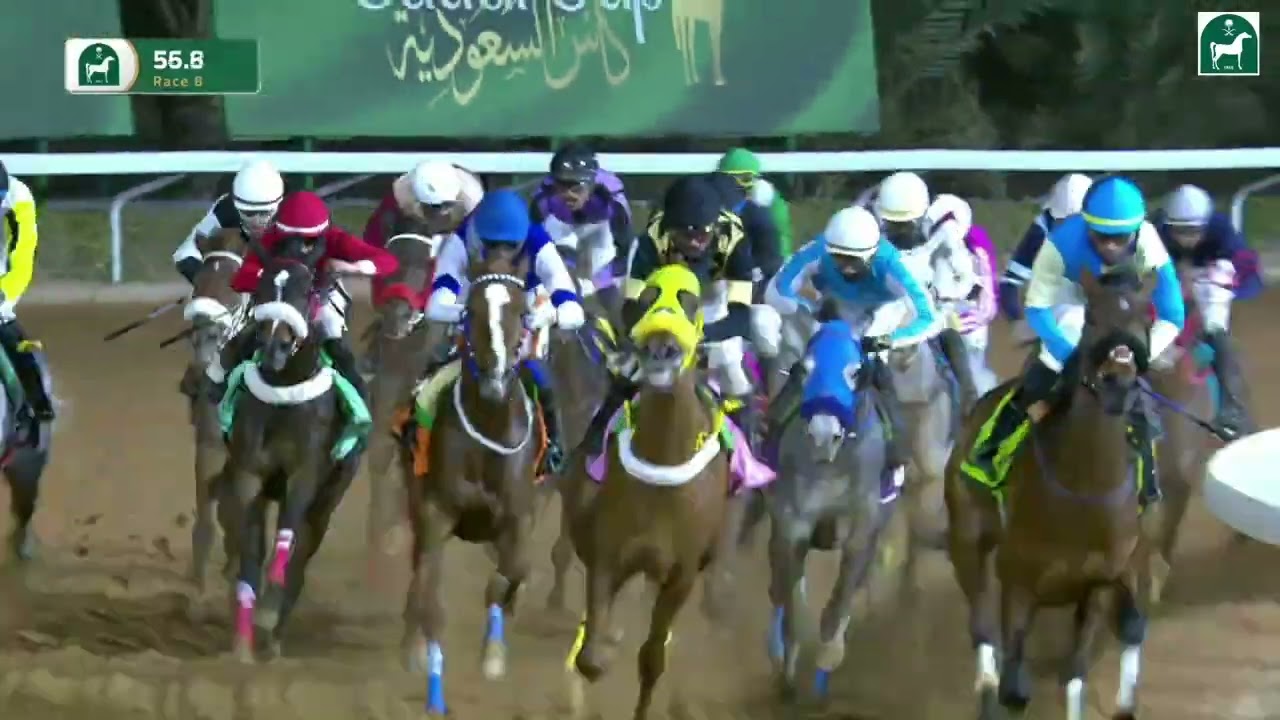 الشوط الثامن للحفل 93 بموسم سباقات الرياض