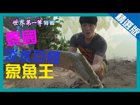 《世界第一等》739集【泰國】 淡水巨怪象魚王│精選版