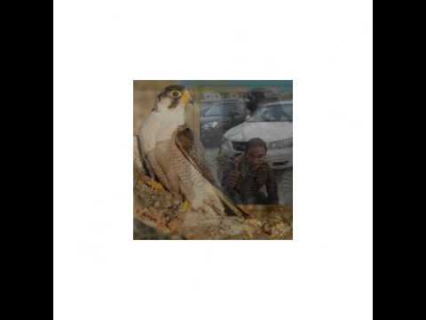 يونس السعيطي ومحمد بو رحيل المعازي 