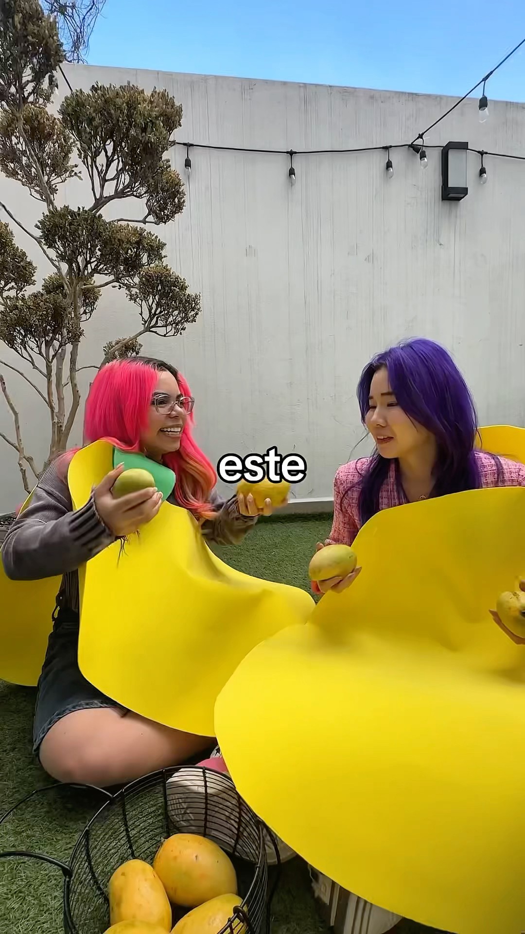 LE REGALO MANGO A CHINGU