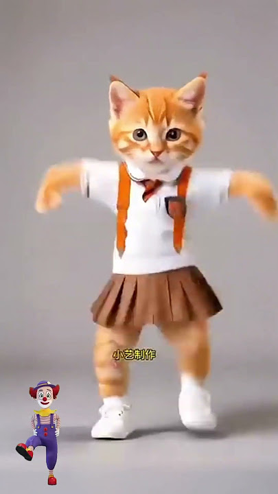 dance kitten baby 🐱🥰😍 #beats #cute #music #cat #remix #funny #baby #cutebaby #halloween #catlover
