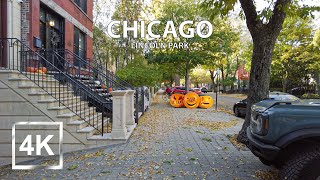 |4K| Autumn Walking Tour - Walking On Leaves - ASMR Binaural - Chicago's Lincoln Park Neighbourhood