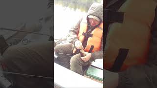 Первый северный окунь  #shortsclip #рыбалка  #fishing