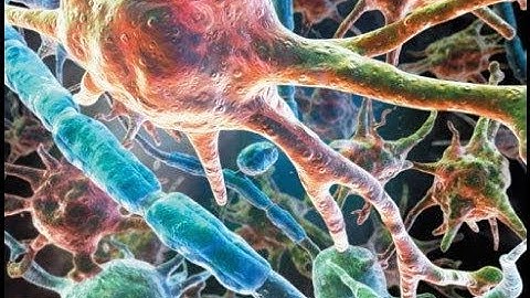 Local Anesthesia Mechanism of action,Types,Uses | complete Documentary