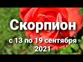 Скорпион Таро - гороскоп с 13 по 19 сентября  2021 г.