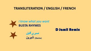 Sabri Aleel Remix - D Jamil (Transliteration, English & French lyrics)