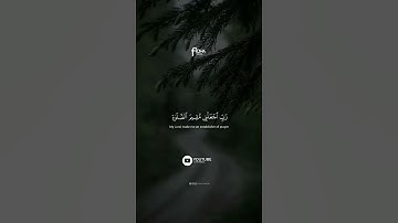 كلا إن الإنسان ليطغى | محمد صديق المنشاوي | ←سورة العلق #قرآن
