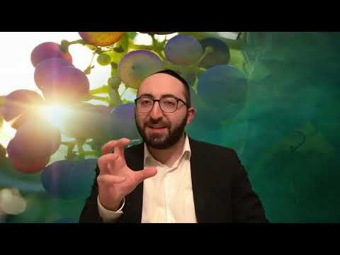 რავ მოშე პიტიმაშვილი (ჰაშემი ყოველთვის შენთან არის)