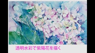 透明水彩で紫陽花を描く - YouTube
