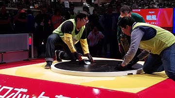 Sumo RC fight 2018 Mitoyo Team vs Boris Team "2"