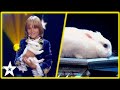 Kids Perform ADORABLE Animal Magic on Ukraine&#39;s Got Talent!