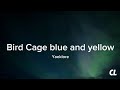 Bird Cage Blue And Yellow Yaeklore Lyrics Bird Cage Blue And Yellow Yaeklore Lyrics